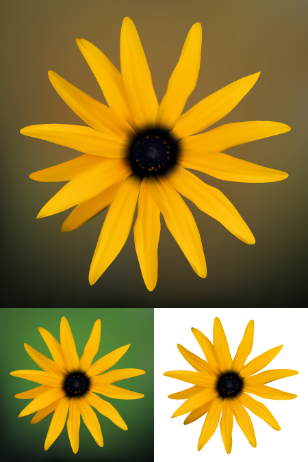 free vector Yellow Flower Vector